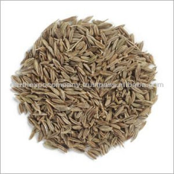 Cumin Seeds exporter